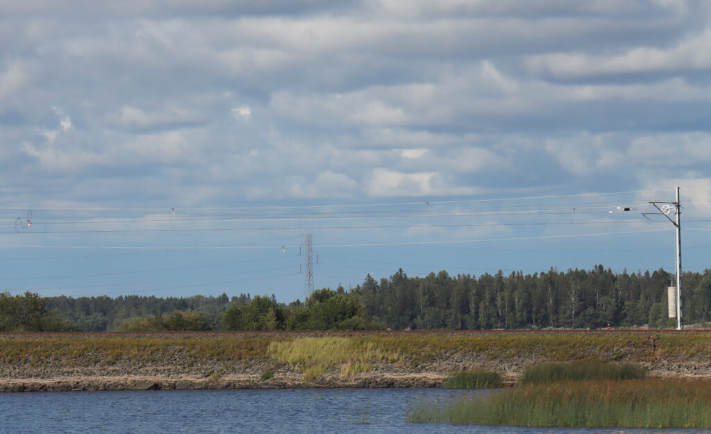Kuvituskuva